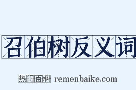召伯树反义词是什么意思的图片